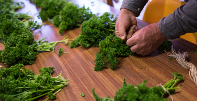 Visite des Saveurs de Kienheim : une déclinaison de fruits et légumes de saison