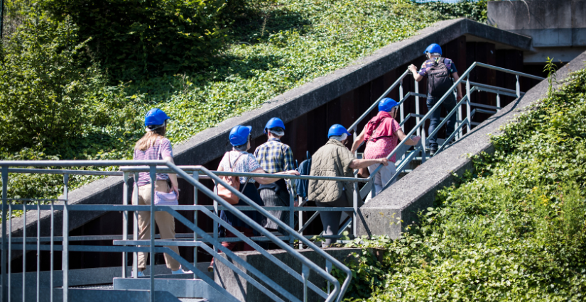 Visite guidée privilège des coulisses de la Passe à Poissons de Gambsheim