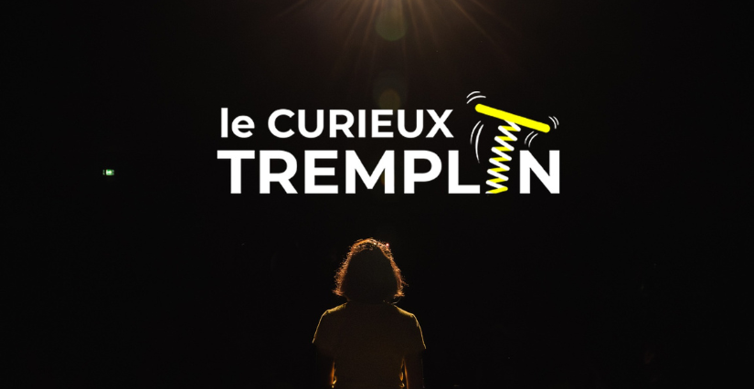 Le Curieux Tremplin du Curieux Festival, spectacle ados/adultes au Vaisseau à Strasbourg Le Curieux Tremplin du Curieux Festival, spectacle ados/adultes au Vaisseau à Strasbourg