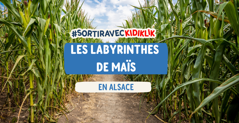 Les labyrinthes de maïs en Alsace : les meilleures sorties en famille de l'été !