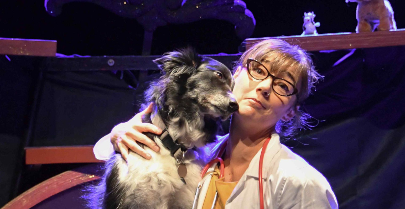 Pas bête : Spectacle de clown et chien à Schweighouse-sur-Moder ; La tête dans les étoiles 
