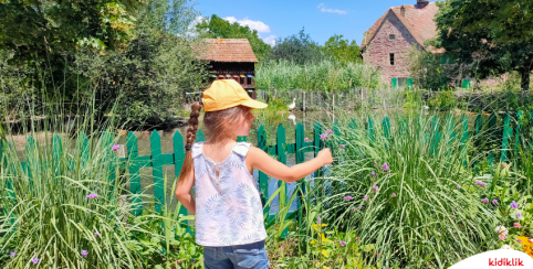 Les Journées de la Biodiversité, sortie famille à l'Écomusée d'Alsace