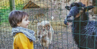 Parc du Fort Kléber : aire de jeux et ferme pédagogique à Wolfisheim