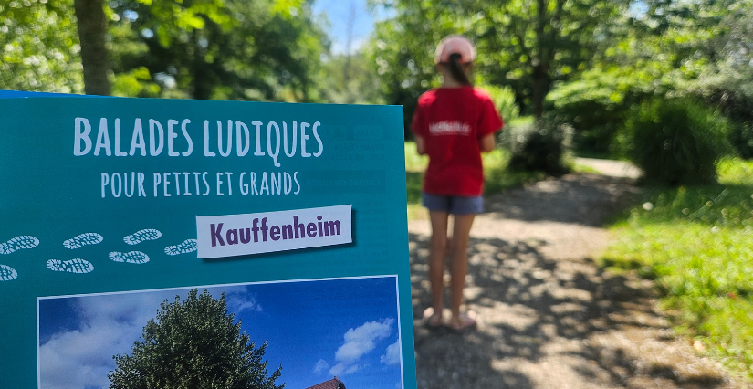 Sortie gratuite en Alsace : testez les balades ludiques du Pays Rhénan en famille !