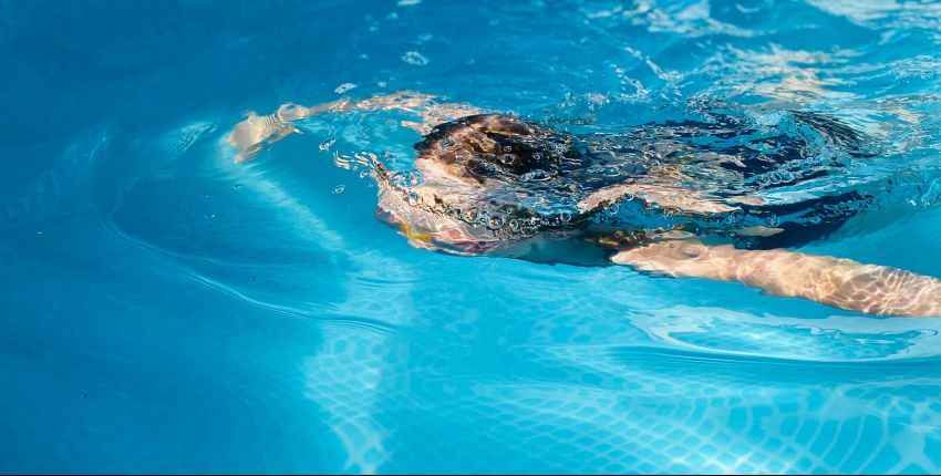 Jeux a faire dans une piscine : 30 activités pour vos enfants !