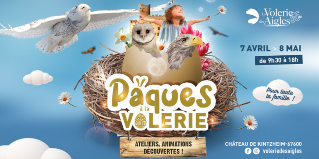 Pâques à la Volerie des Aigles : spectacles, ateliers et animations famille