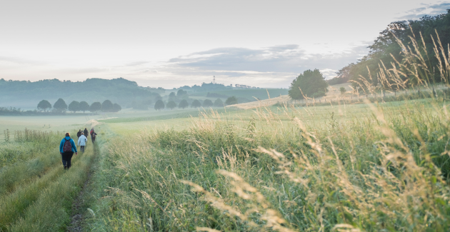 Balades à l'éveil de la nature à Kuttolsheim, Durningen et Neugartheim