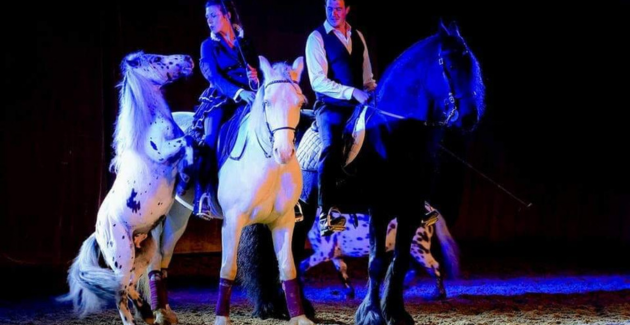 Dominique Coynault spectacle équestre à Rétaud - Des photos d'ici et de là