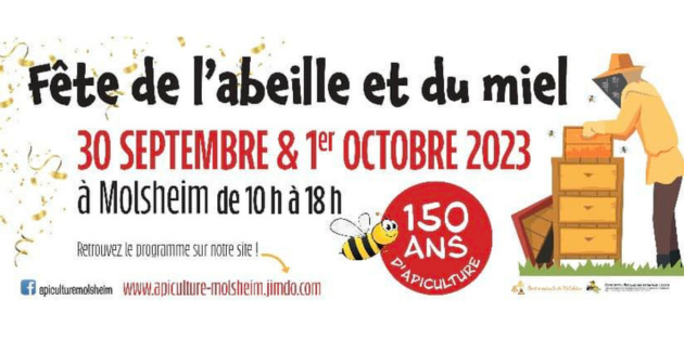 Fête de l'abeille : weekend découverte de l'apiculture à Molsheim