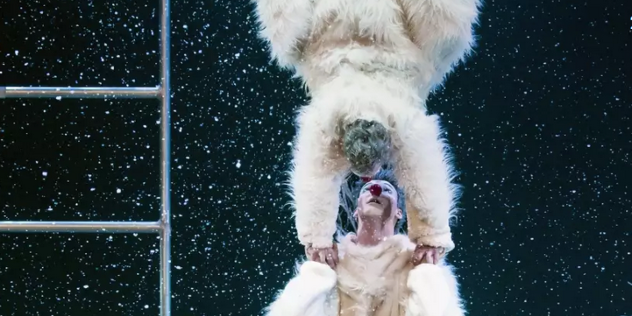 "Glob" - Cirque, Espace Rohan