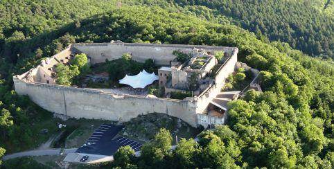 Nouveau : atelier créatif parent-enfant "land art" au Château du Hohlandsbourg