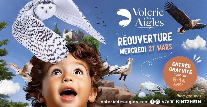 Réouverture de la Volerie des Aigles : Entrée gratuite pour les enfants de 5 à 14 ans, le mercredi 27 mars (uniquement) !