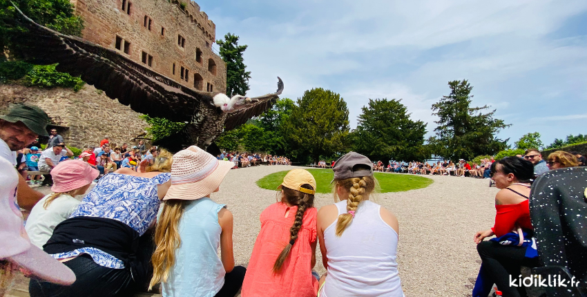 Parc animalier en Alsace : visiter la Volerie des aigles avec les enfants