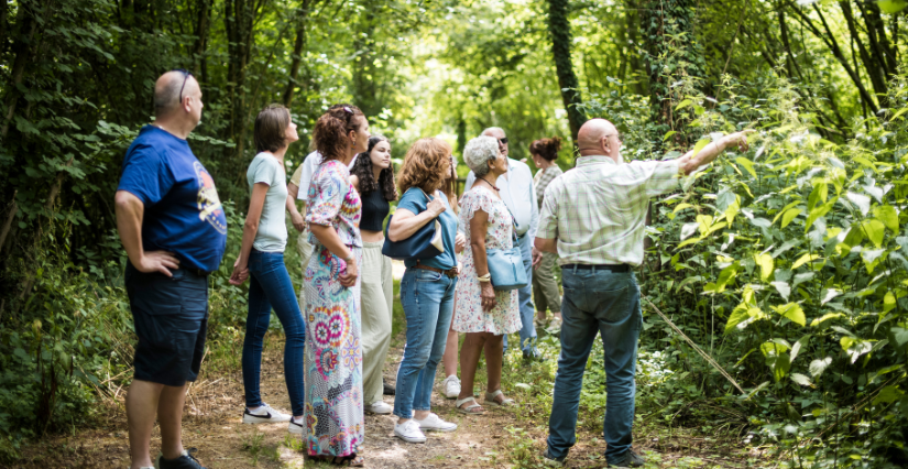 Les Filons d'Argile : balade nature et atelier argile en Alsace, forêt de Haguenau