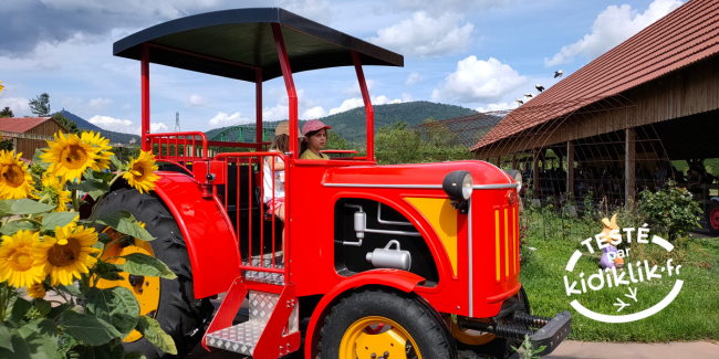 Passer une journée à Cigoland en famille en Alsace