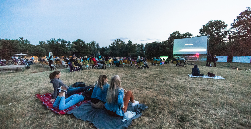 Cinéma plein-air en famille cet été en Alsace