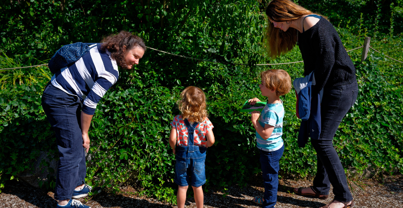 Balade apicole : atelier enfant de l'été au Vaisseau à Strasbourg