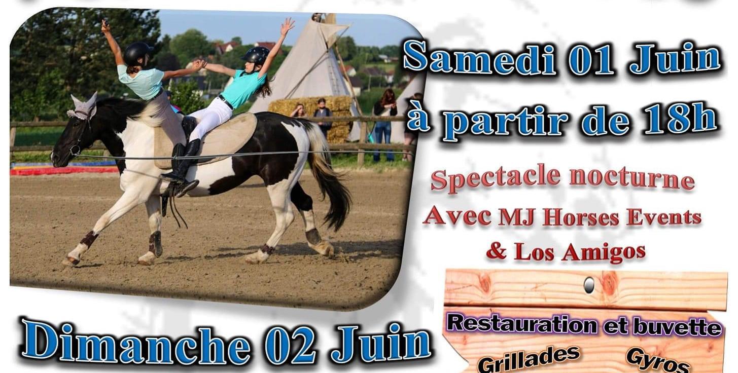Porte ouverte de l'Ecurie du Lac à Retschwiller + spectacle équestre