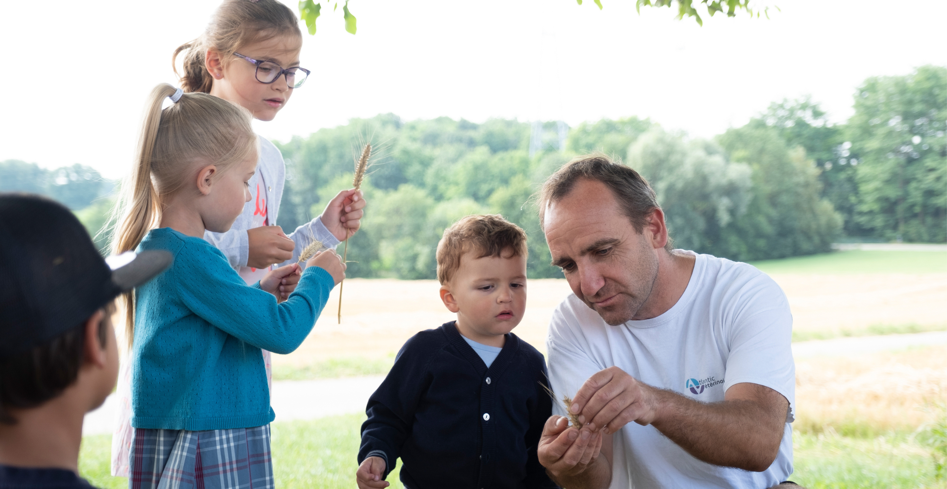 De l'alimentation à la fertilisation des sols, découvrez l'agroforesterie en Alsace - EARL Ferme Daul-Boim