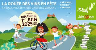SlowUp Alsace : Parcours dans le vignoble à pied, à vélo ou en roller à Selestat en famille