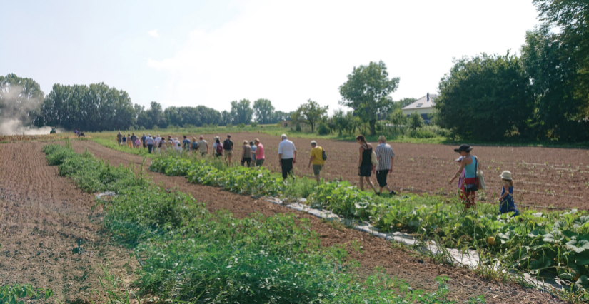 Ferme Obrecht : invitation à la permaculture, à Handschuheim cet été en Alsace