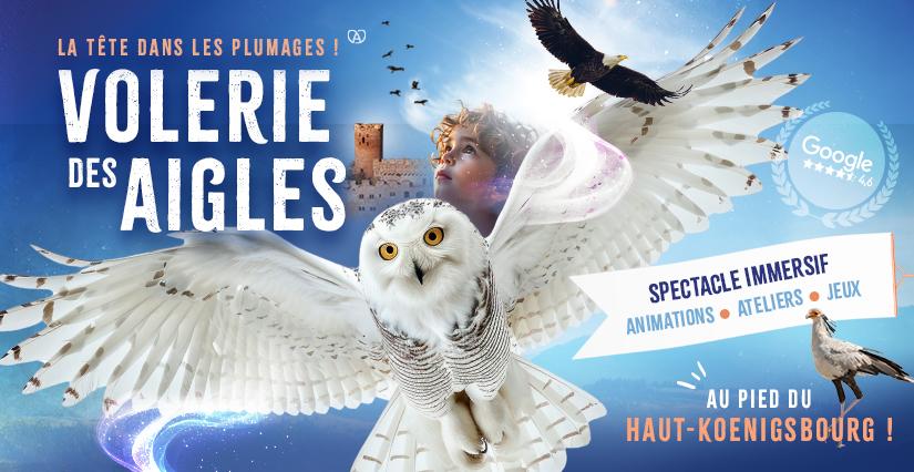Été 2025 à la Volerie des Aigles : spectacles de rapaces et animations pour les familles en Alsace