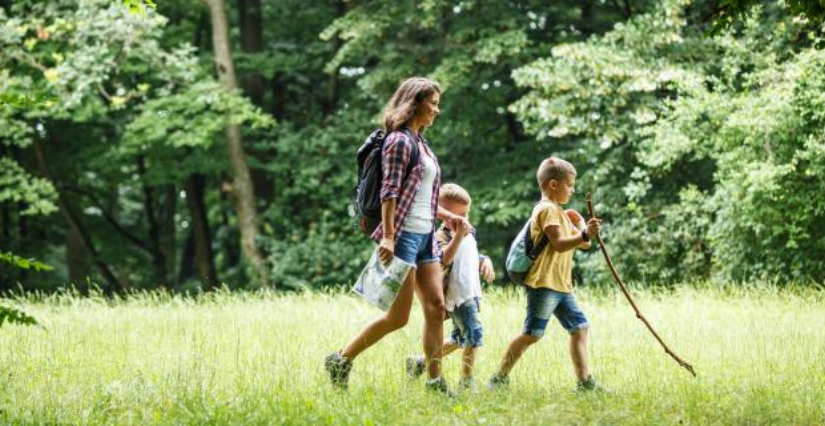 Randonnée en famille ou entre amis cet été autour de Roeschwoog