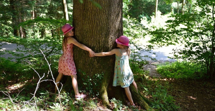 Sylvothérapie : à la découverte des bienfaits des arbres et de l'énergie de la nature, à Gambsheim