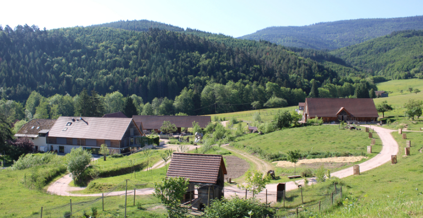 La ferme d'Argentin à Liepvre