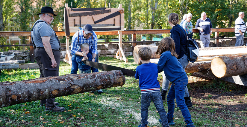 Les arts du bois, animation famille à l'Ecomusée d'Alsace, Ungersheim