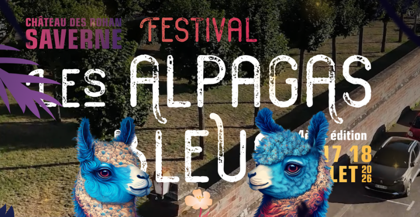 Festival Alpagas Bleus : concerts pour les ados à Saverne