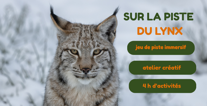 Animation Adventure : des anniversaires 100% nature pour les enfants 