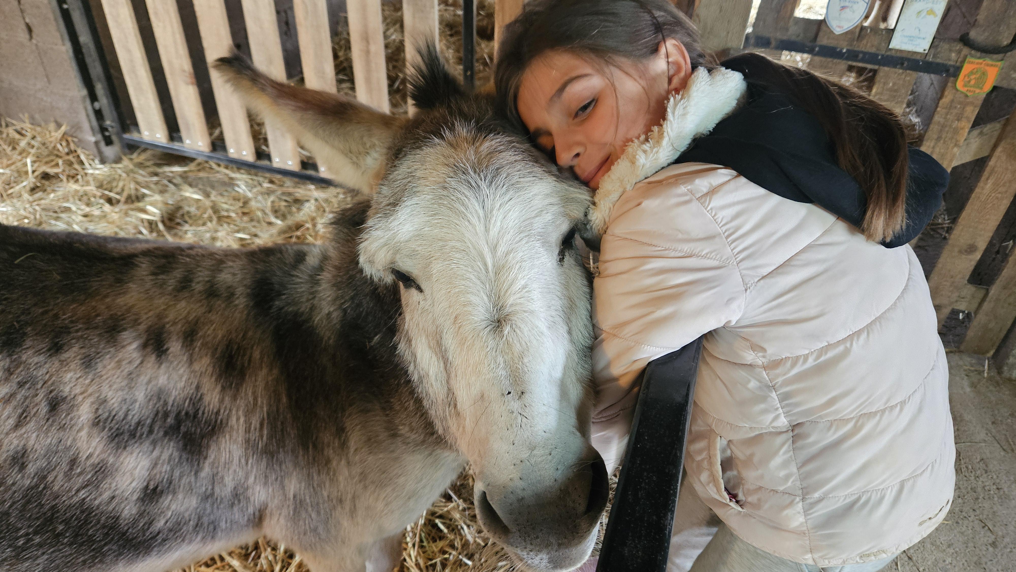 Ferme Kieffer : Animaux de la ferme, labyrinthe de maïs et animations thématiques à Limersheim