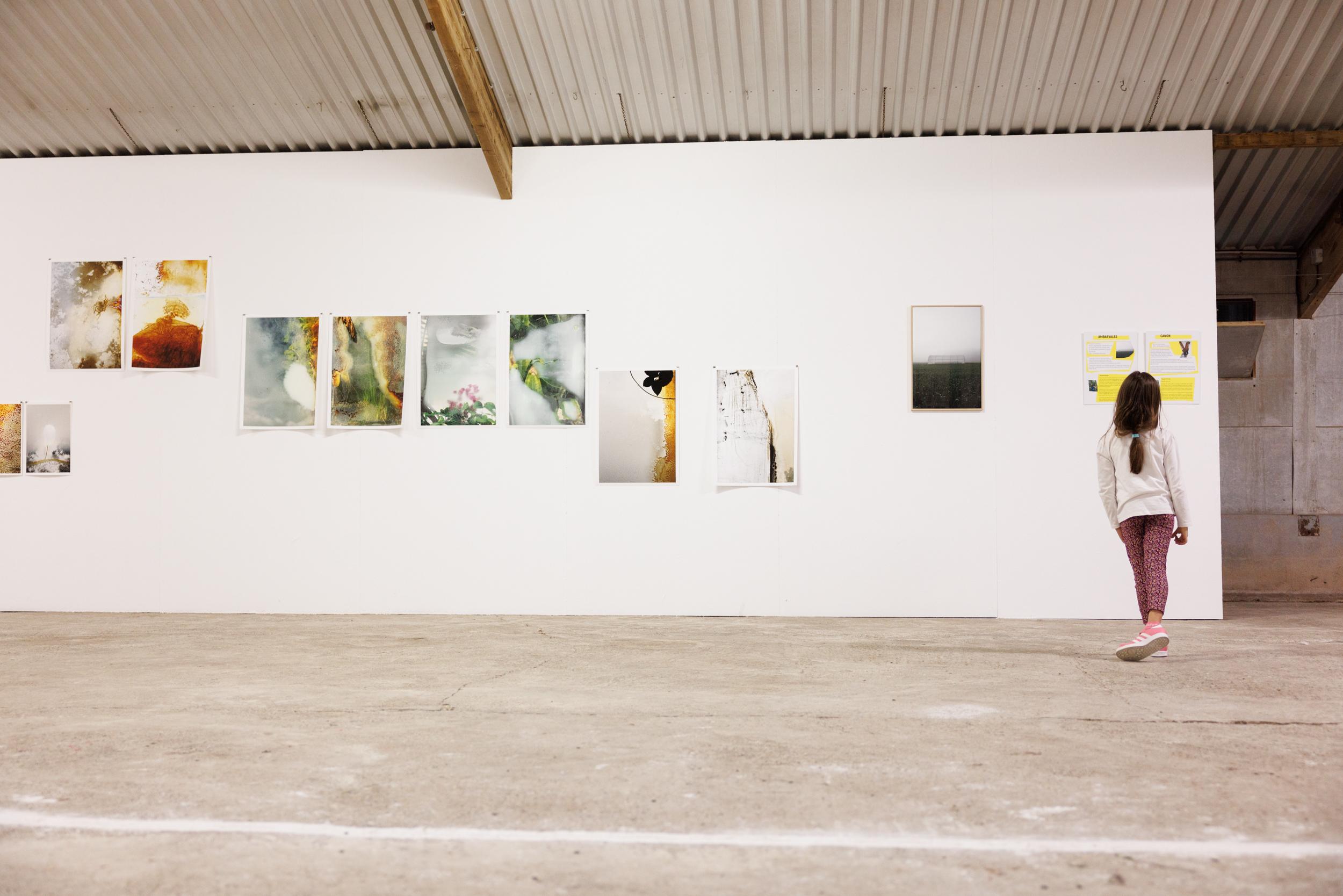 La Serre : expositions, ateliers, spectacles à Ittenheim