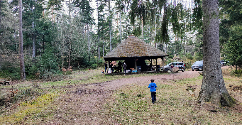 Sortie famille : balade, pique-nique et BBQ en forêt à Wangenbourg - Engenthal