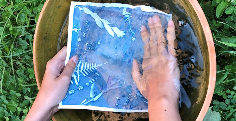 "Atelier cyanotype : le petit peuple du jardin", atelier gratuit au Château du Haut-Koenigsbourg