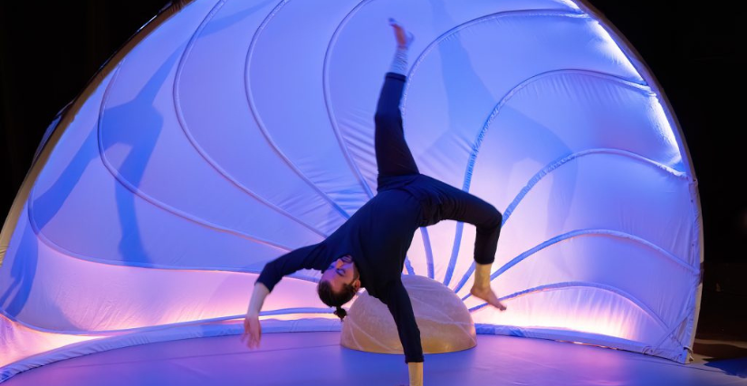 Dans ma coquille – Cirque et musique – Bischwiller - La tête dans les étoiles 