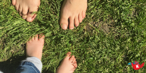 RÉOUVERTURE le 1er mai 2024 de Senso Ried, le sentier pieds nus à Muttersholtz