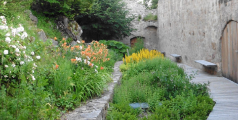 Festival « L’Alsace se (ra)conte » au Château du Hohlandsbourg