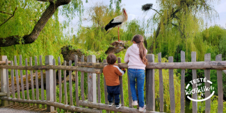 Le TOP des parcs animaliers en Alsace