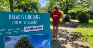 Sortie gratuite en Alsace : testez les balades ludiques du Pays Rhénan en famille !