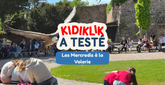 Sortie en famille en Alsace : Kidiklik a testé Les Mercredis à la Volerie des Aigles 