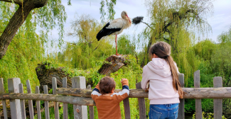 parc animalier alsace reportage kidiklik alsace sortie nature en famille 