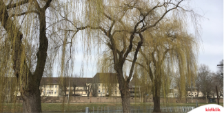 Dix balades nature en ville à Strasbourg Eurométropole - promenades de 1h30 en famille Dix balades nature en ville à Strasbourg Eurométropole - promenades de 1h30 en famille