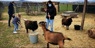 Le pré des anim'o : ferme pédagogique à Ergersheim