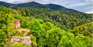 Visiter le château du Nideck en famille à Oberhaslach en Alsace Visiter le château du Nideck en famille à Oberhaslach en Alsace