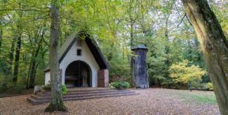 Balade ludique dans la forêt de Haguenau : le gros chêne Balade ludique dans la forêt de Haguenau : le gros chêne
