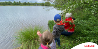 Balade en Forêt dans la réserve naturelle de la Sommerley à Erstein-Krafft